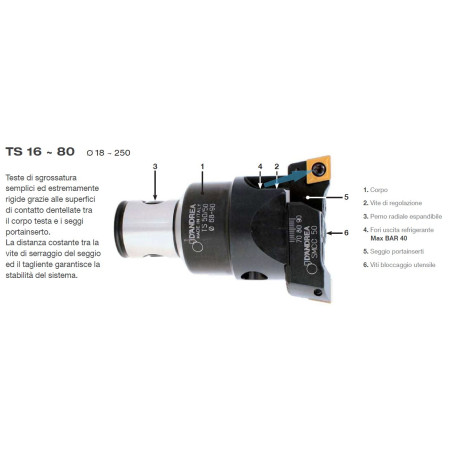 Testina di sgrossatura TS 16/16 MHD'16 - D'ANDREA
